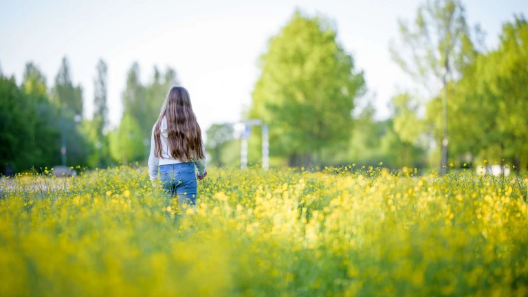 En flicka på en blommande äng.