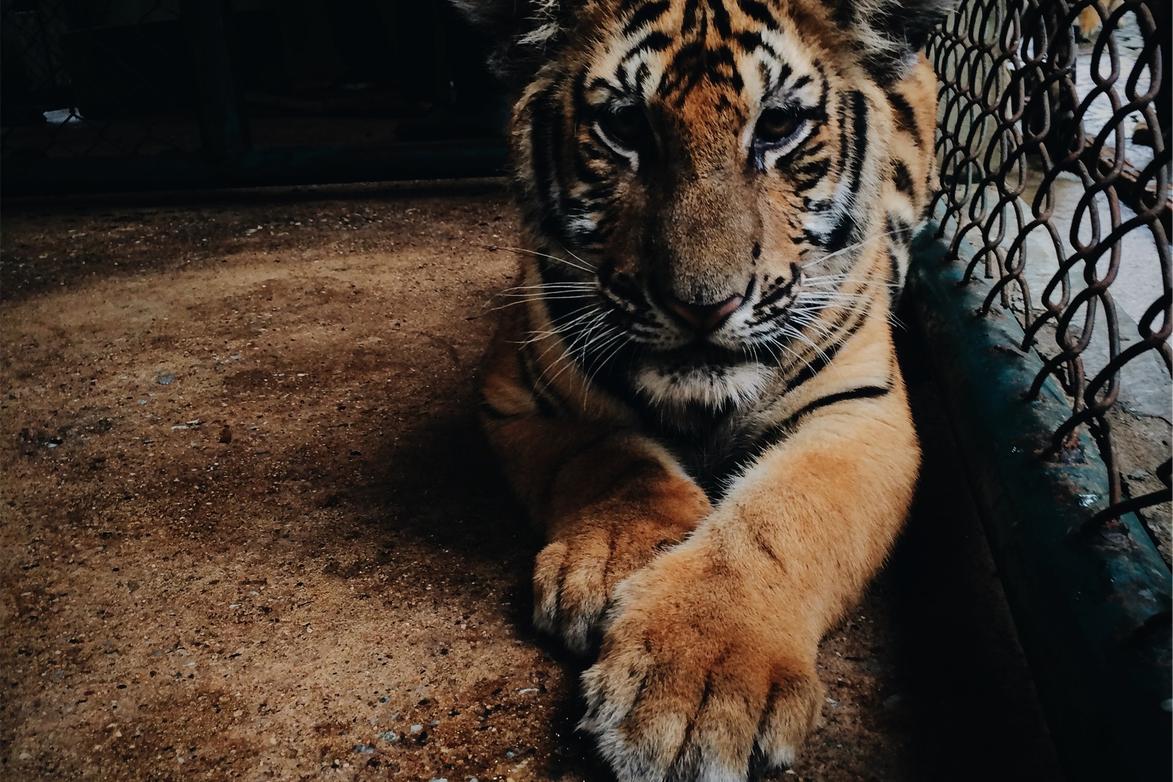 Cumque tempora nobis asperiores minus fugiat eos quidem repellendus