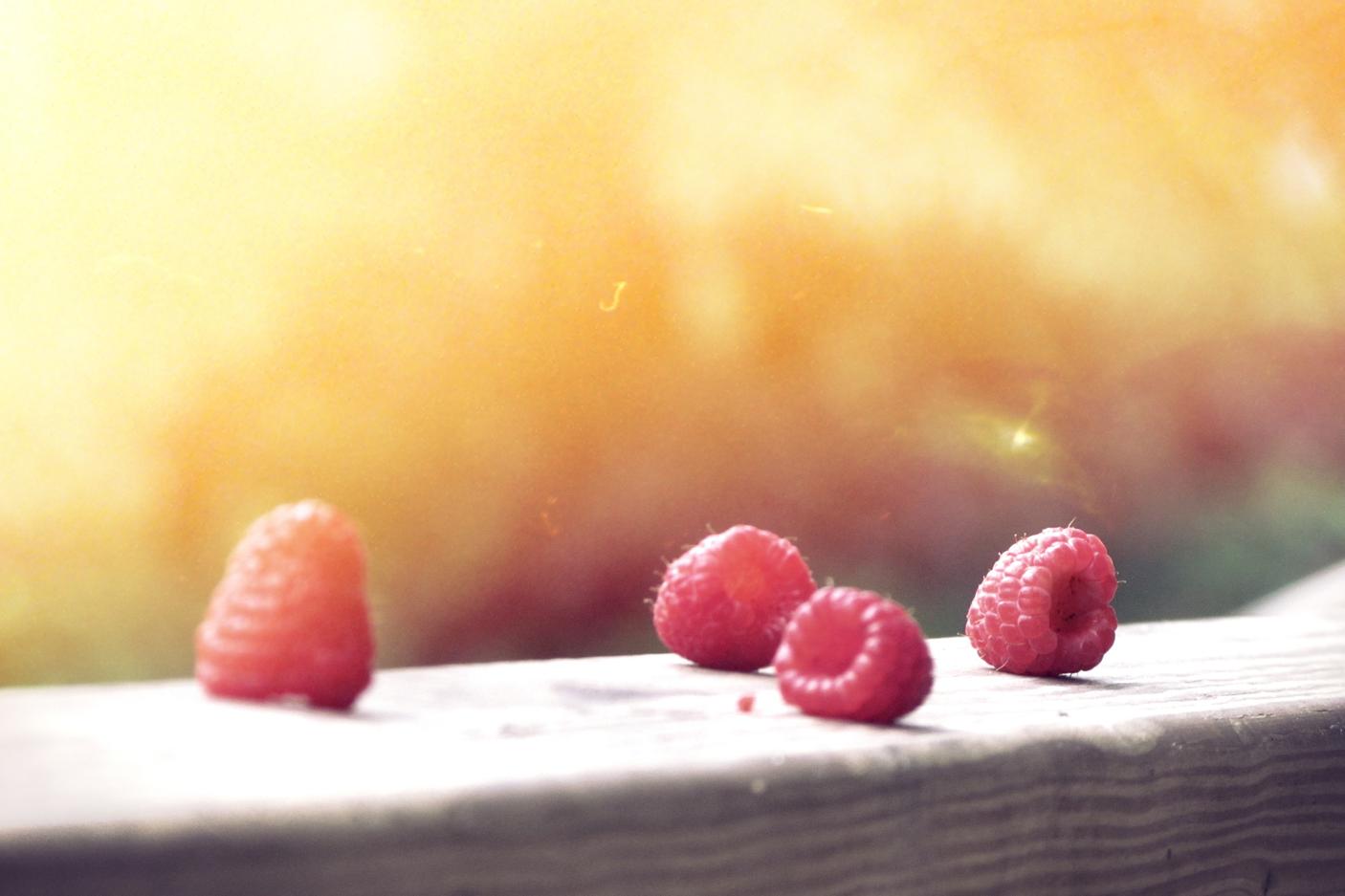 Deserunt eum sapiente consequatur qui et recusandae